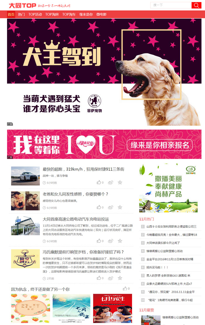 大同TOP網(wǎng)站